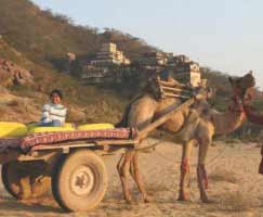 Neemrana Tour Package