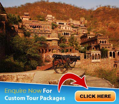 Neemrana Tour Packages